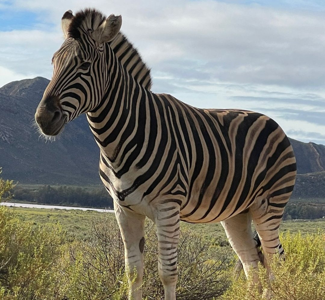 Screenshot_20251121_001533_Photos